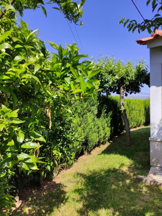 Casas do Paço - Casas de Férias Cabeceiras de Basto Esterno foto