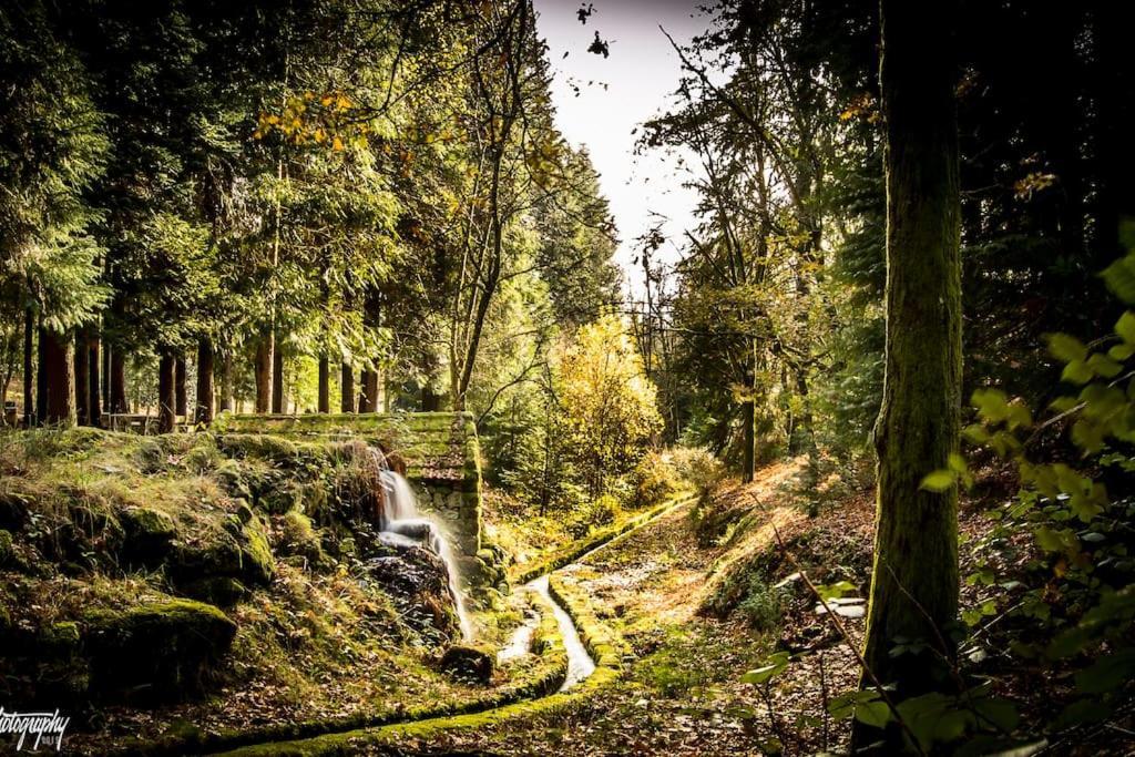 Casas do Paço - Casas de Férias Cabeceiras de Basto Esterno foto