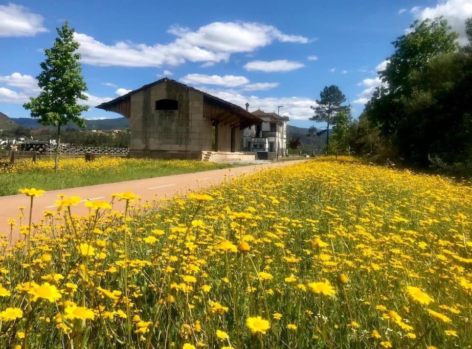 Casas do Paço - Casas de Férias Cabeceiras de Basto Esterno foto
